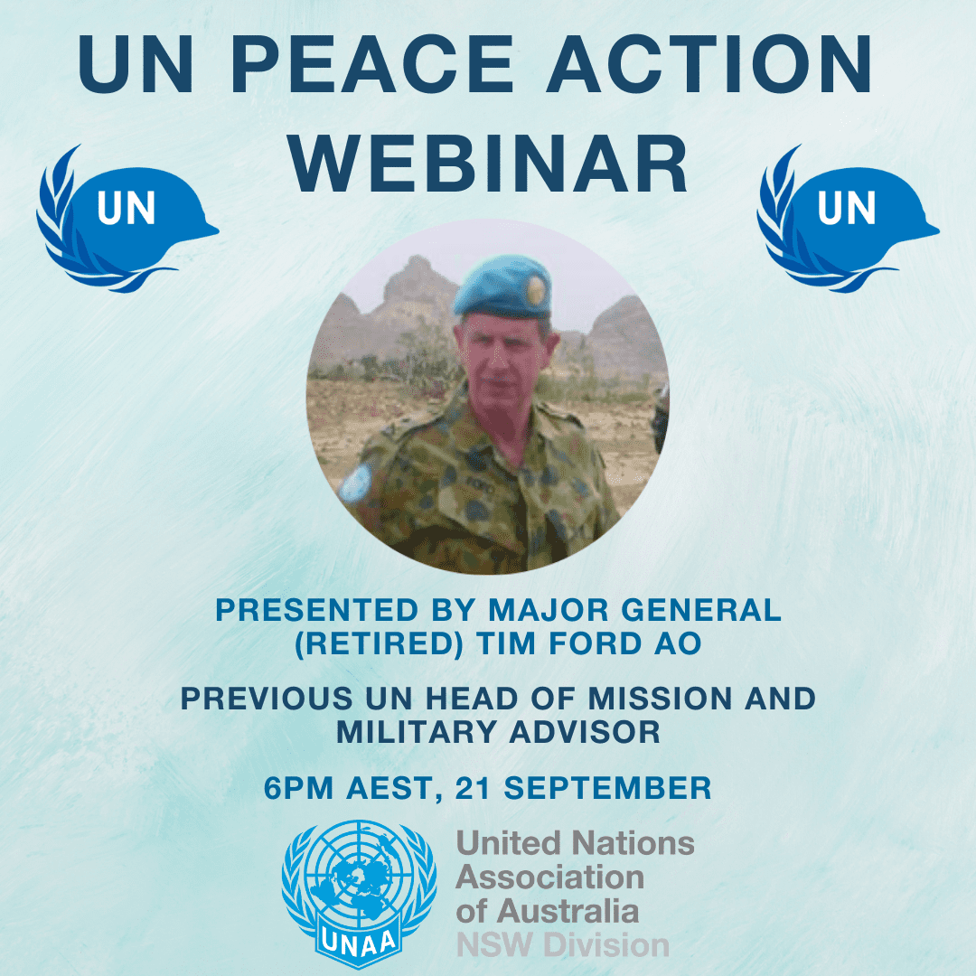 United Nations Peace Action Webinar Raising Peace